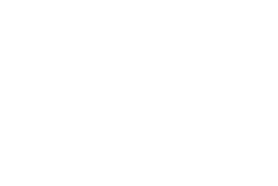 p-lenovo